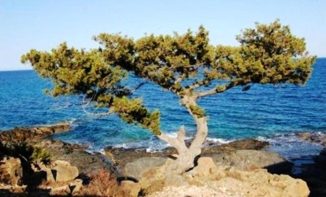 Апартаменти Tanca Della Torre Trilocale Vista Mare Ізола-Росса Екстер'єр фото